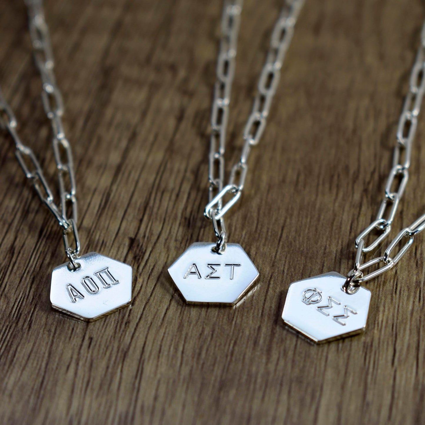 Alpha Gamma Delta Necklace- Silver Paperclip Style with AGD Pendant