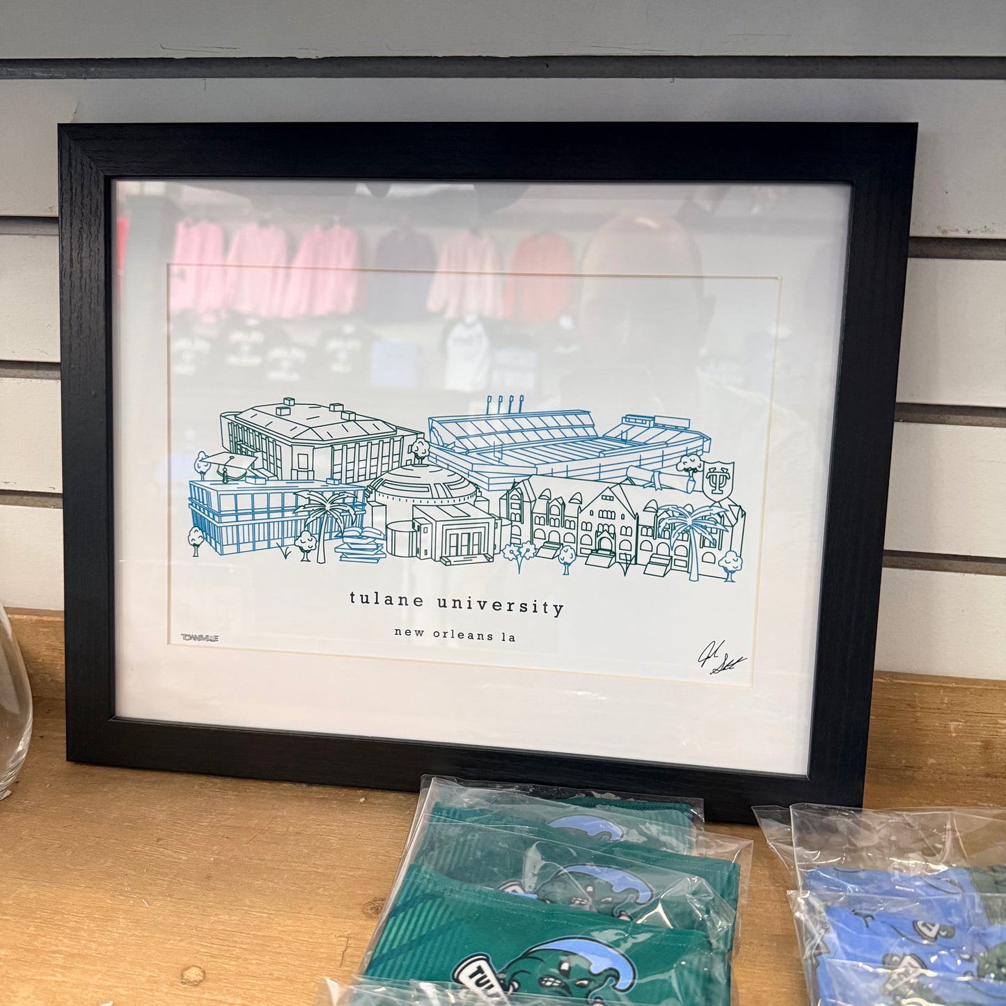 Tulane Campus Framed Print