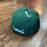 Tulane Baseball Slugger Bird Hat - Green