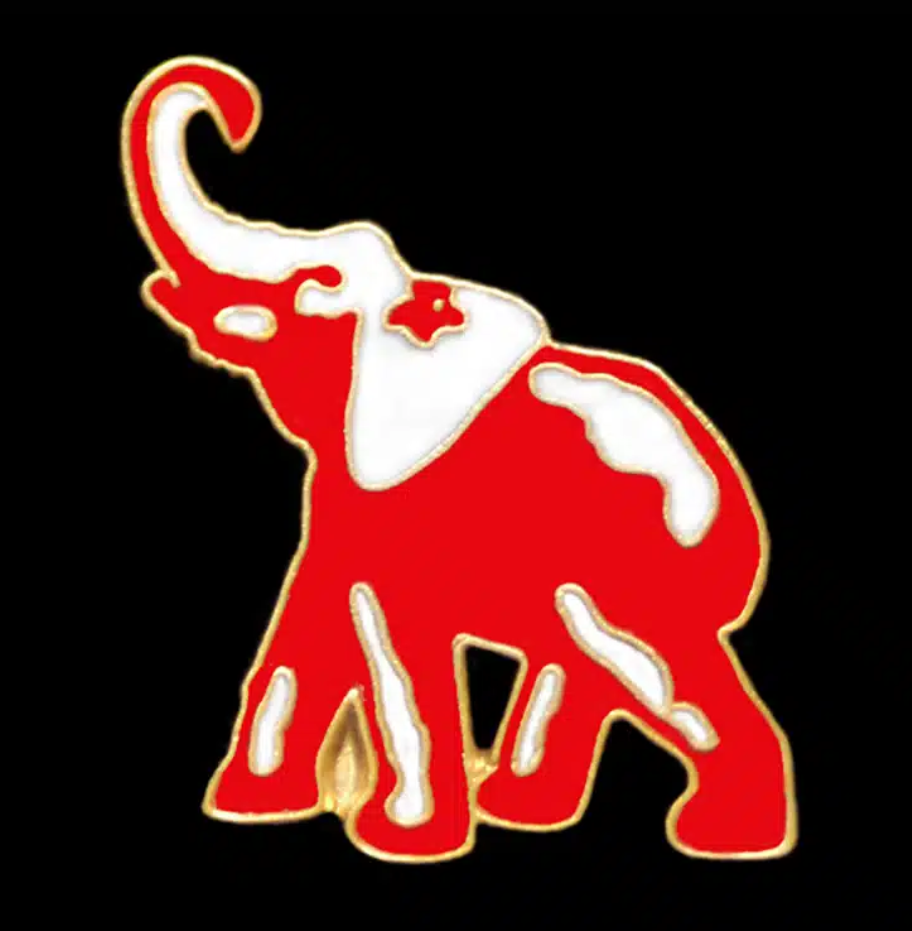 Mascot Lapel Pin