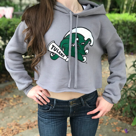 Men's League Collegiate Wear Heather Gray Tulane Green Wave Heritage Tri-Blend Pullover Hoodie Size: Extra Large